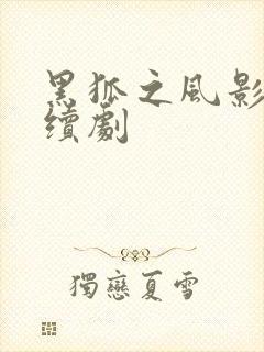 黑狐之风影 连续剧