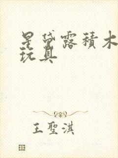 星黛露积木拼装玩具