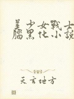 美少女战士被洗脑黑化小说