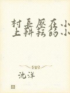 村长压在小娥身上耕耘的小说