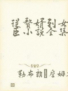 从赘婿到女帝宠臣小说全集