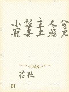 小说主人公叔他宠妻上瘾免费阅读