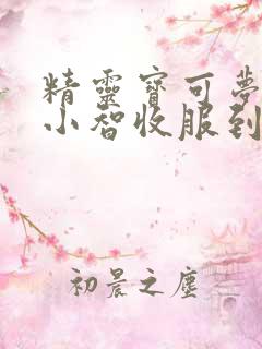 精灵宝可梦旅途小智收服到的宝可梦