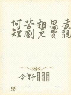 何苦相思煮余年短剧免费观看完整版