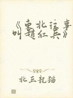 《东北往事:我叫赵红兵》电影