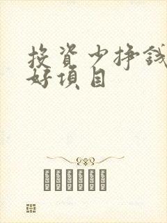 投资少挣钱快的好项目