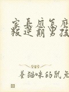 家长应怎么教育叛逆期男孩