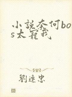 小说奈何boss太宠我