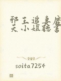 邪王追妻废材逆天小姐听书