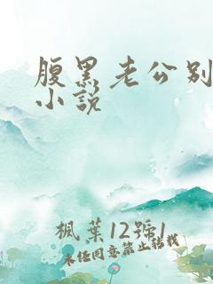 腹黑老公别太坏小说