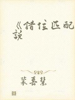 《错位匹配》小说