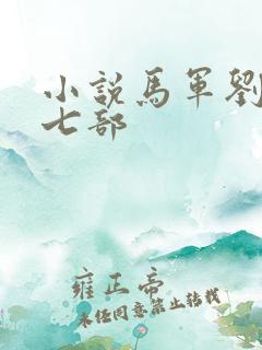 小说马军刘艳第七部