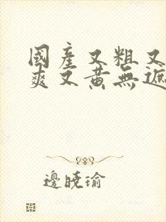 国产又粗又猛又爽又黄无遮