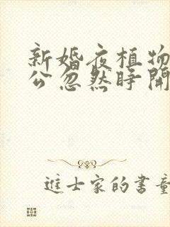 新婚夜植物人老公忽然睁开眼txt