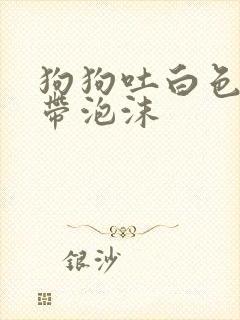 狗狗吐白色粘液带泡沫