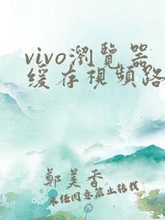 vivo浏览器缓存视频路径