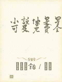 小说他是星河不可及免费全文阅读