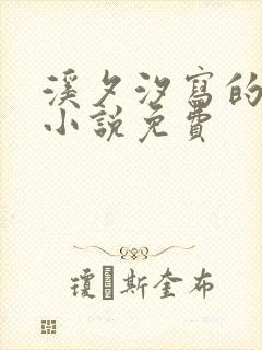 溪夕汐写的全部小说免费