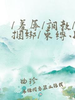 /羞辱/调教/捆绑/束缚小说