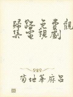 归路免费观看全集电视剧