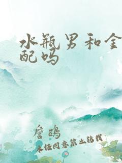 水瓶男和金牛女配吗