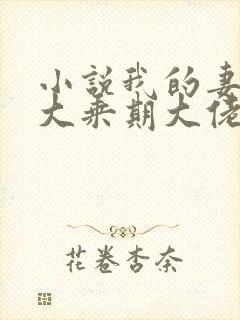 小说我的妻子是大乘期大佬全集