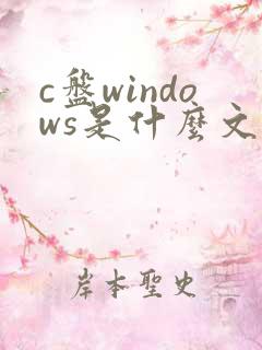 c盘windows是什么文件夹可以删除吗