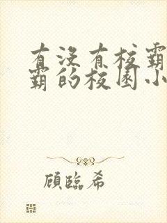 有没有校霸与学霸的校园小说