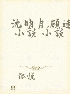 沈明月,顾远舟 小说 小说