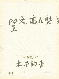 po文高h双男主