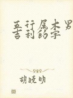 五行属木男孩最吉利的字