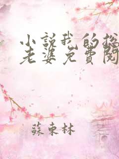 小说我的总裁大老婆免费阅读