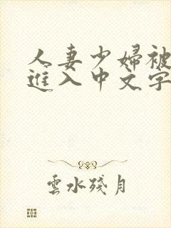 人妻少妇被猛烈进入中文字幕,