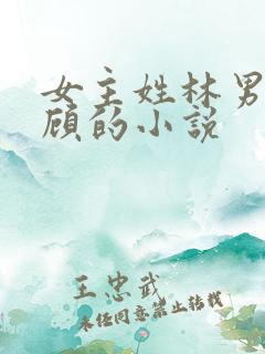 女主姓林男主姓顾的小说