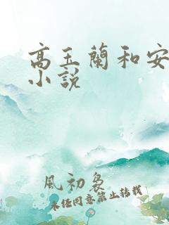 高玉兰和安江的小说