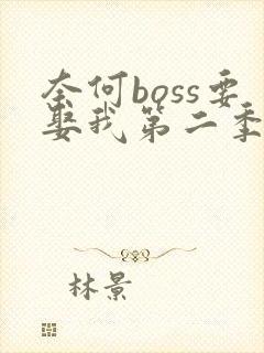 奈何boss要娶我第二季全集在线观看