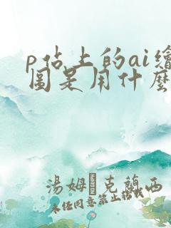 p站上的ai绘图是用什么软件的