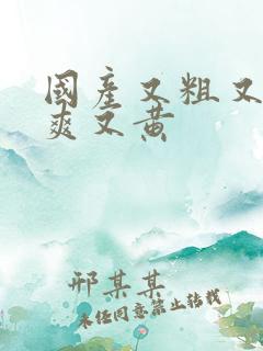 国产又粗又猛又爽又黄