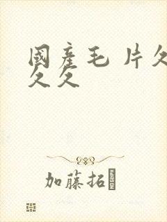 国产毛 片久久久久