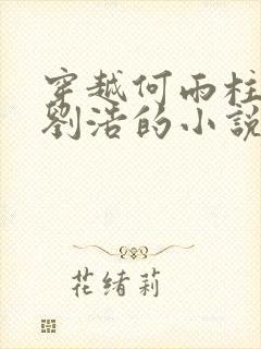 穿越何雨柱舅舅刘浩的小说