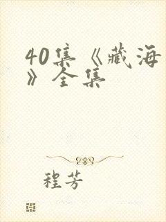 40集《藏海传》全集