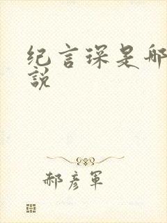 纪言琛是哪本小说