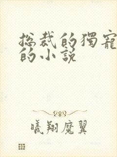 总裁的独宠甜妻的小说