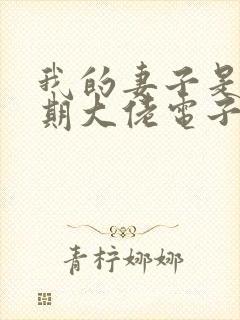 我的妻子是大乘期大佬电子书免费阅读