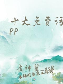 十大免费污的app