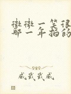 微微一笑很倾城哪一年拍的