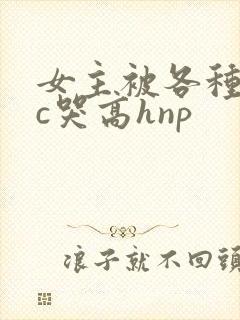 女主被各种姿势c哭高hnp