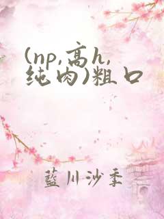 (np,高h,纯肉)粗口