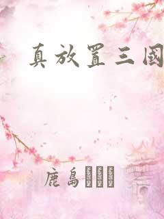 真放置三国破解