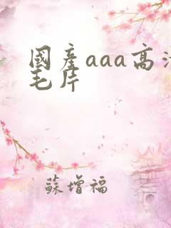 国产aaa高清毛片